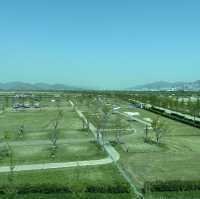 再見釜山！有緣再會！