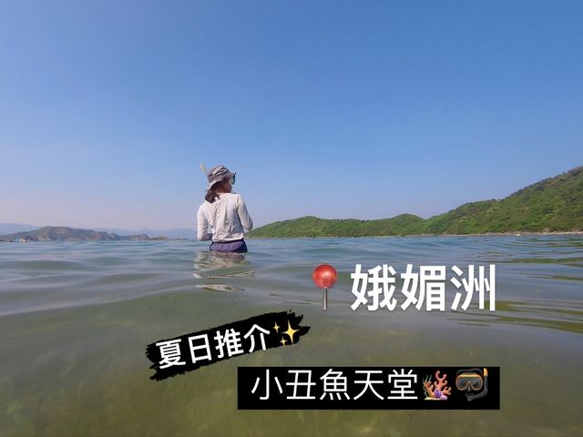 🌟小丑魚天堂🪸｜娥媚洲浮潛之旅🤿