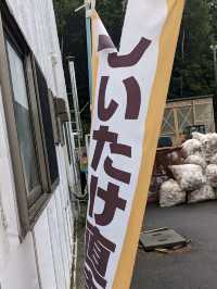 【北海道しいたけ直売所】清田しいたけファーム