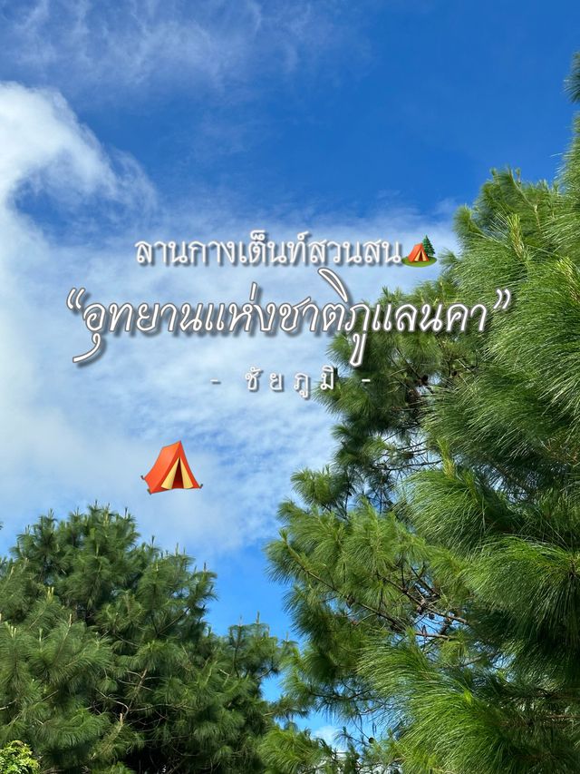 ลานกางเต็นท์บนอุทยานแห่งชาติภูแลนคา🍃