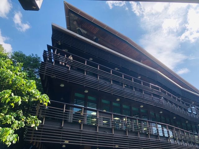 台北｜🪵📚暑假好去處📍 Taipei Public Library Beitou Branch 臺北市立圖書館 北投分館