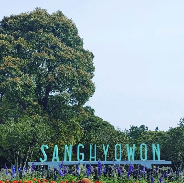 🌳 상효원 수목원, 제주 서귀포의 아름다운 식생을 머금다.