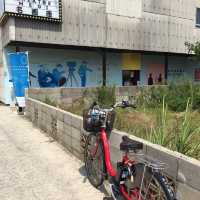 女木島 ｜漫遊瀨戶內國際藝術祭🏞️