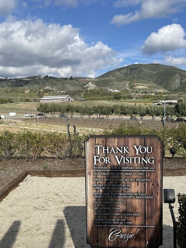 🇺🇸미국 테메큘라에 위치한 Journey at Pechanga⛳️에서 브런치 즐기기!