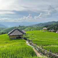 ป่าบงเปียง 🌾