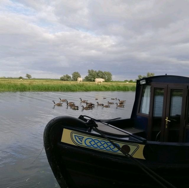 A Memorable Journey to Ely, UK: Exploring History, Spirituality, and Culinary Delights