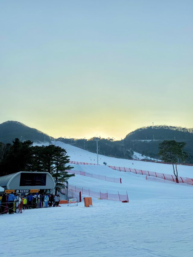 겨울스포츠 보드타러 •지산 스키장• 겨울스포츠 보드타러 •지산 스키장•