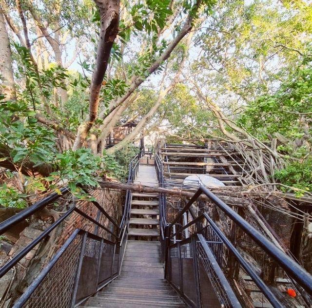 Mysterious Tree House in Tainan