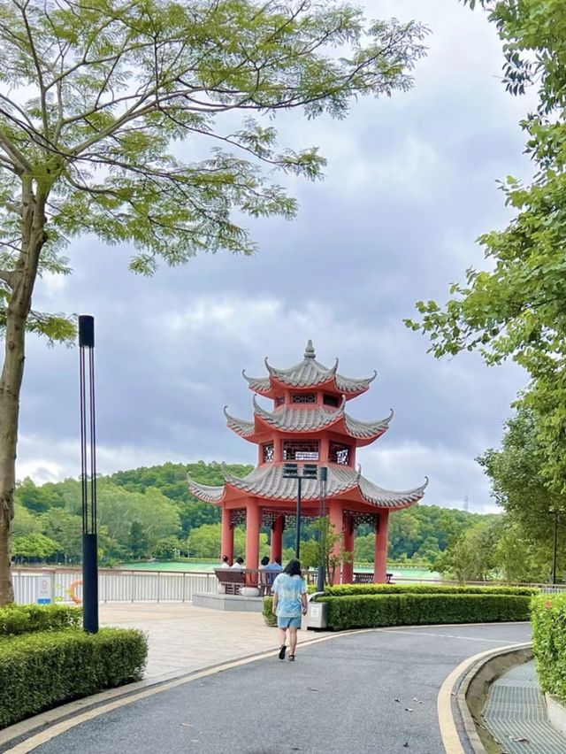 大運自然公園～與水鴨共度野餐樂趣🌳🦆🧺