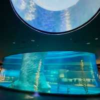 Penguin Cove at Bird Paradise
