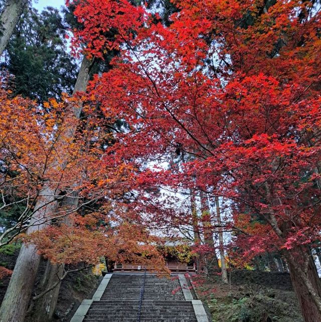【絶景】比叡山の紅葉2023年