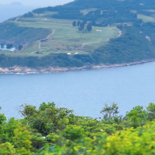 自然的寶藏中！探索八仙嶺郊野公園的美麗景色 🌳🏞️🌼 