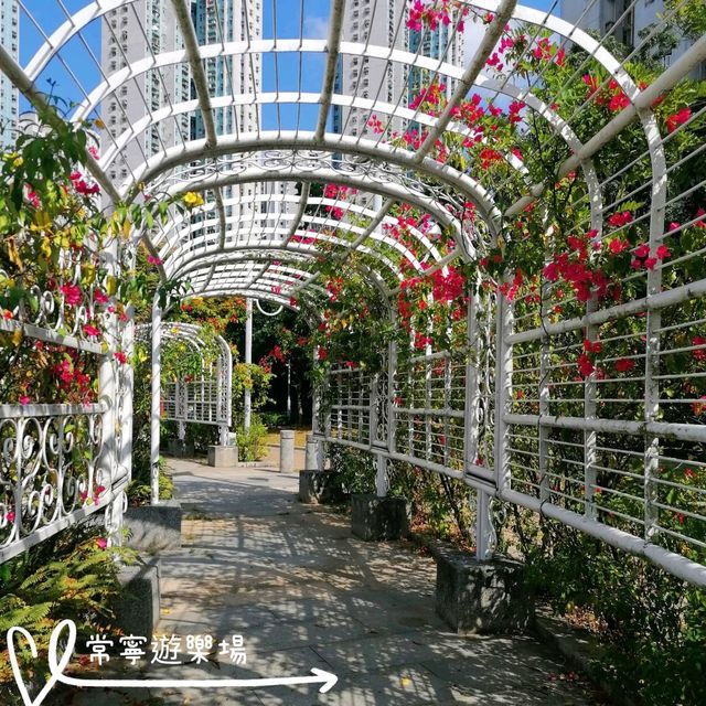 坑口 - 常寧遊樂場 坑口 - 常寧遊樂場