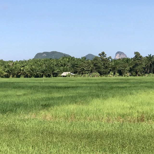 เขาเจียก พัทลุง เขาเจียก พัทลุง