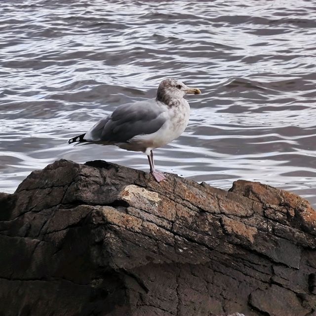 A relaxing stroll along the Hudson River!