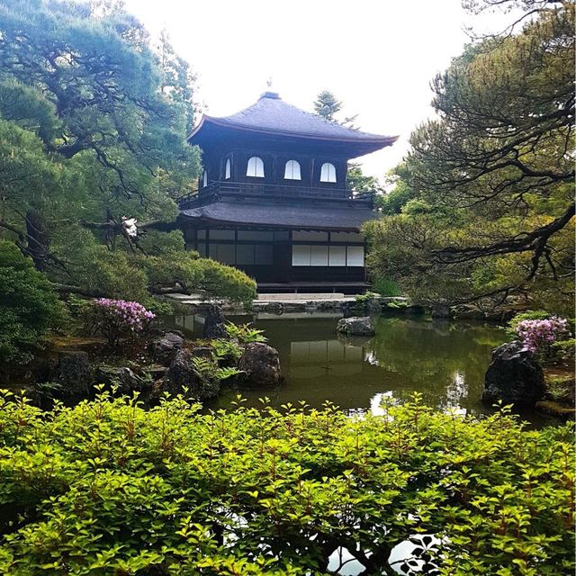 일본 교토 가볼만한곳, 정원이 아름다웠던 은각사