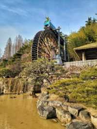 경주 보문단지에서 만나는 2023 계묘년 복토끼🐰