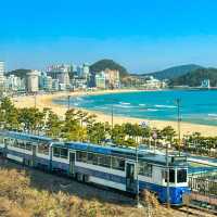 바다를 지나는 해변열차뷰 카페🚃🌊