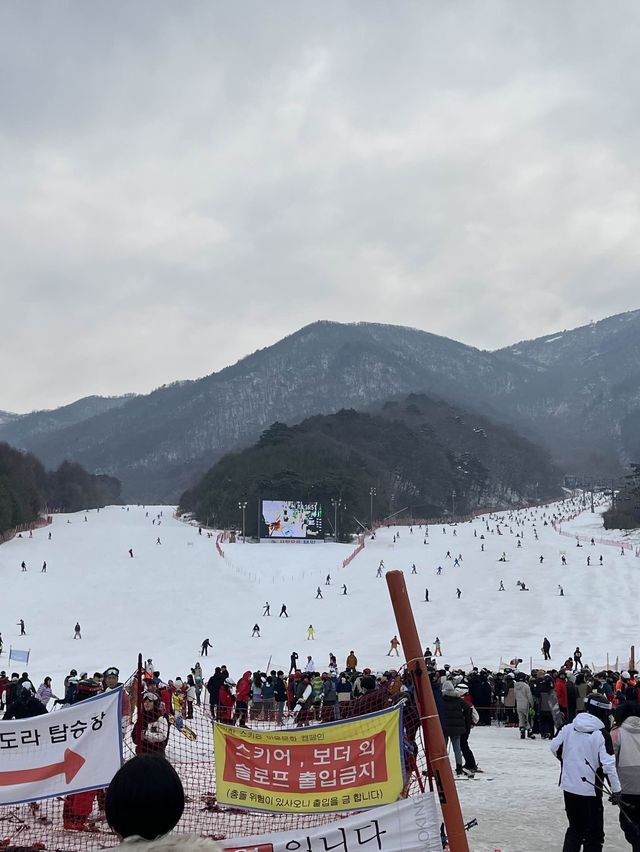 초보자 스키장 추천! 무주리조트 :D 중급 후기