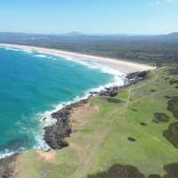 澳洲｜新南威爾士州｜Shelly Beach 來這邊與Kangaroo 巧遇吧