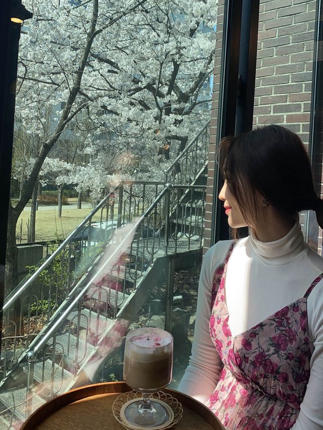 서울 벚꽃뷰 카페 원탑 “연남동 벚꽃집”