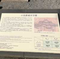 毗鄰東京的中世紀城堡🏯小田原城
