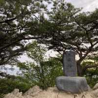 광교산 형제봉