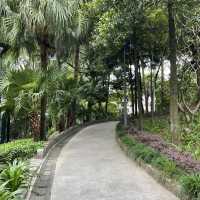 Montanha Russa Park Nature 