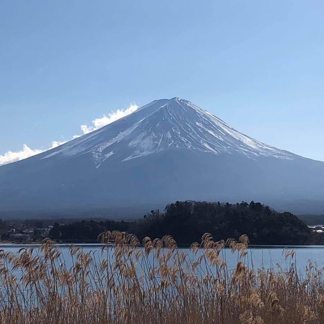 河口湖自然生活館‼️欣賞大自然之美🫶🏻富士山🗻下的浪漫💕