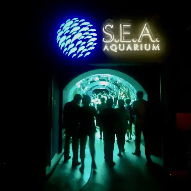 S.E.A Aquarium - Singapore