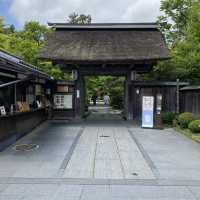 宮城松島「円通院」日本庭園が美しい