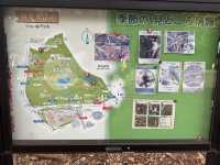 東京放電好去處