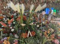 🇦🇺Brisbane | An immersive journey towards French Impressionism 🎨