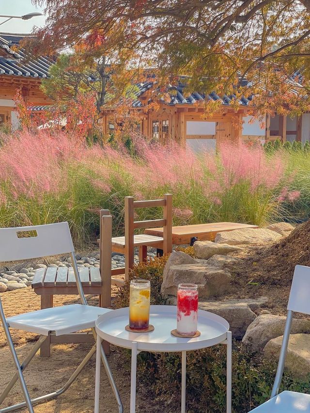 화성에서 남은 가을 즐기러 다녀오기🍂💖 
