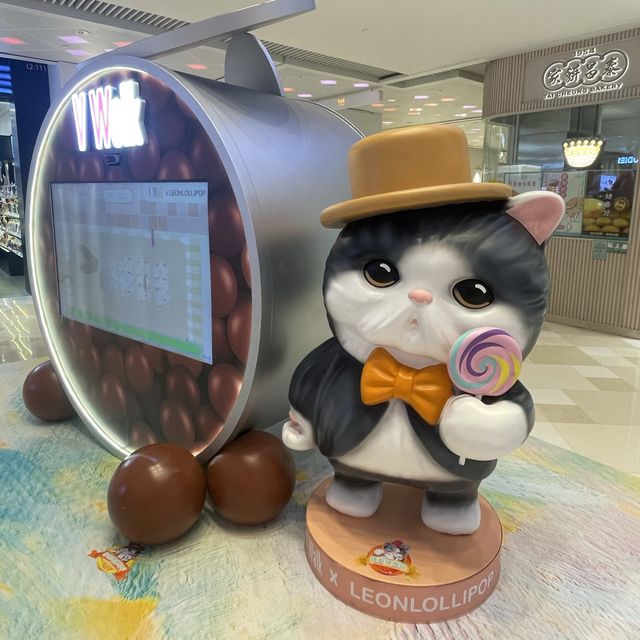 📣🐈黎V Walk 搵托腮貓打卡影相啦🐈📣