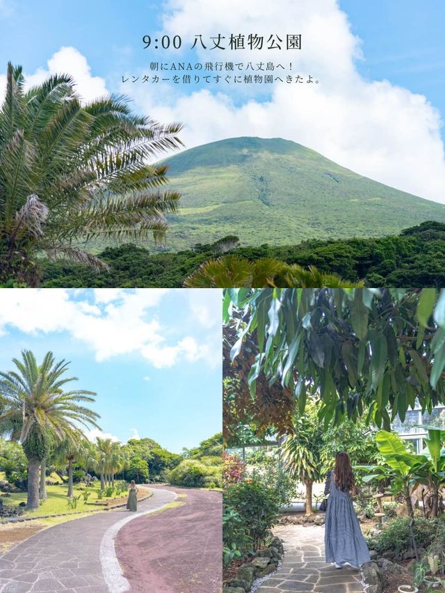八丈島観光