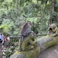 Monkeying Around in Ubud