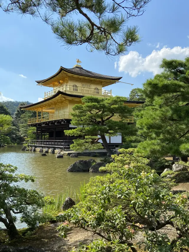 【京都観光】世界遺産🇯🇵金閣寺