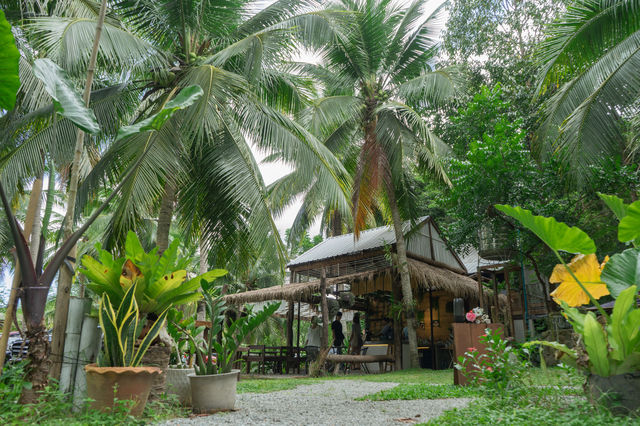 RimKhao cafe and camping 