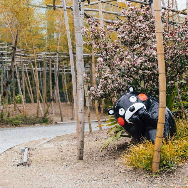 Fascinating Fukuoka: A Colorful Journey of Flowers and Food