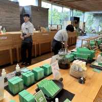 24h in Jeju - Innisfree Jeju House