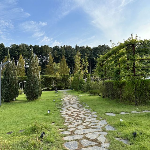 이천의 보물 푸른 에덴파라다이스🌲