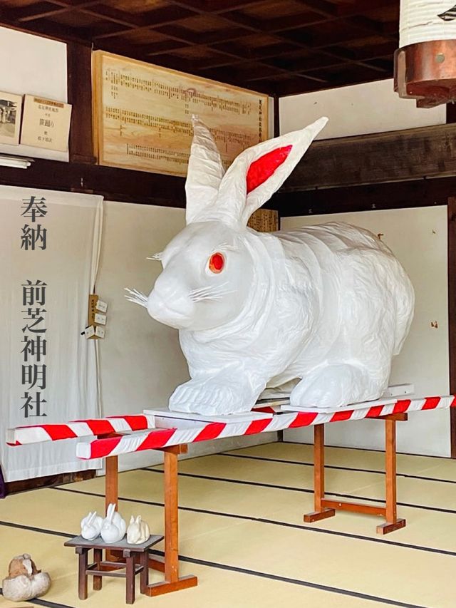 【愛知県/菟足神社】兎探しが楽しい神社