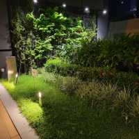 石屎森林裏的頂樓綠洲Cafe🌴🌴🪱