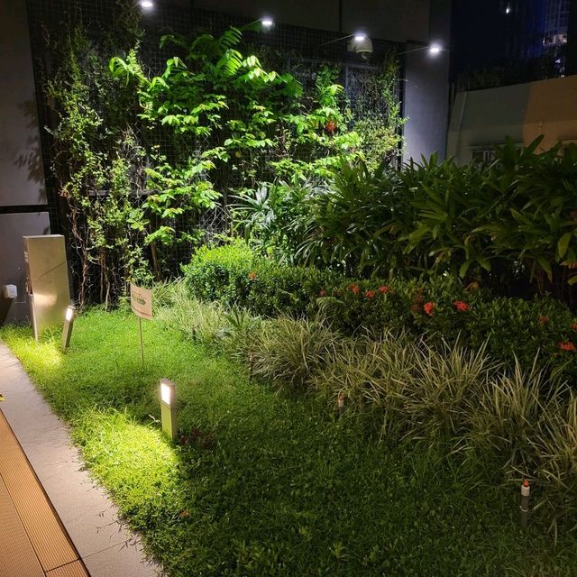 石屎森林裏的頂樓綠洲Cafe🌴🌴🪱