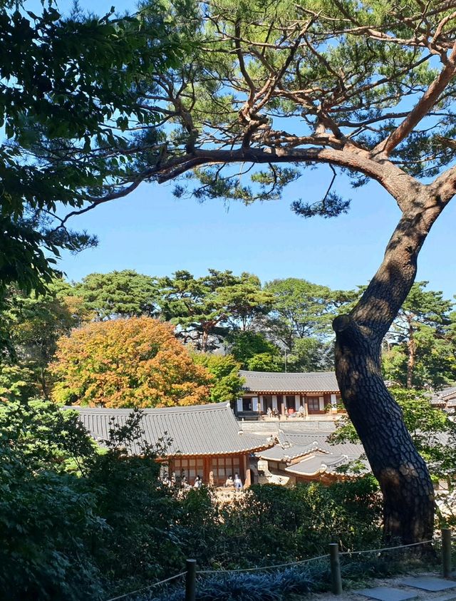 도심 속 나의 작은 별장, 서울 석파정