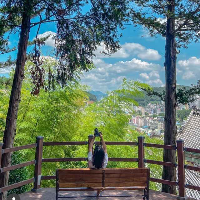 힐링 산책로가 있는 부산 삼광사 편백나무숲 