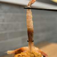 爆瀉魚生丼