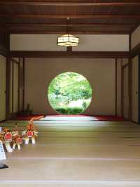 【神奈川県/明月院】美しい紫陽花