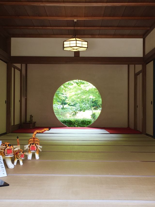 【神奈川県/明月院】美しい紫陽花